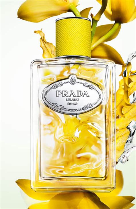 prada infusion 2017|prada infusion d'ylang.